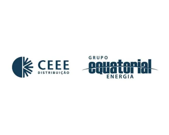 Pessoa paga conta de energia com cartão de crédito parcelado no celular